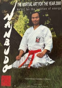 The Martial art of the year 2000en
